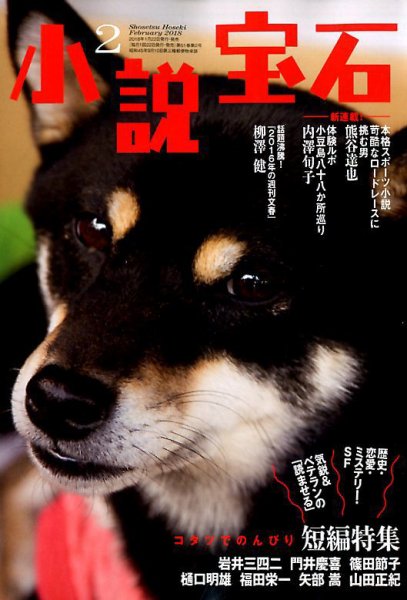 小説宝石 2018年2月号 (発売日2018年01月22日) 表紙