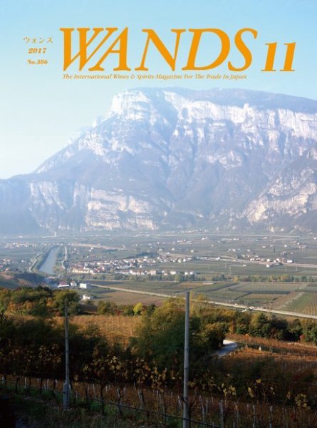 WANDS（ウォンズ） 第386号 (発売日2017年11月07日) 表紙