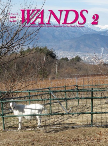 WANDS（ウォンズ） 第389号 (発売日2018年02月07日) 表紙