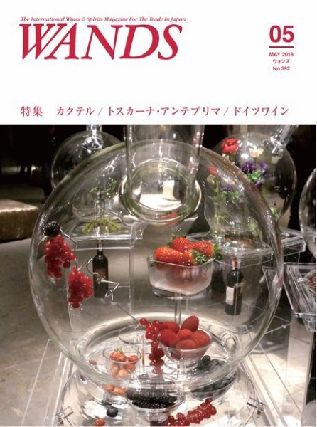 WANDS（ウォンズ） 第392号 (発売日2018年05月08日) 表紙