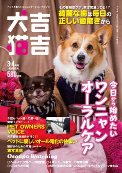 2018元旦红色中国风天猫促销喜庆背景素材模板 搜图网