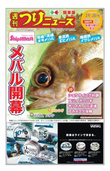 週刊つりニュース　関東版 2018年2月2日号 (発売日2018年01月29日) 表紙