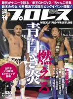 週刊プロレス 表紙