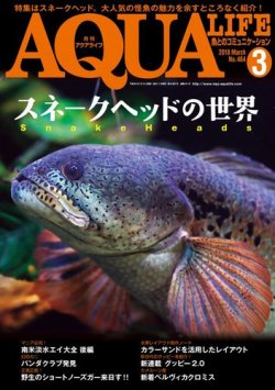 雑誌 定期購読の予約はfujisan 雑誌内検索 ロメス がアクアライフの18年02月10日発売号で見つかりました