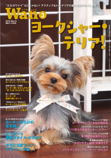 wan（わん） 2018年3月号 (発売日2018年02月14日) 表紙