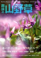 趣味の山野草 2018年3月号 (発売日2018年02月10日) | 雑誌/定期購読の