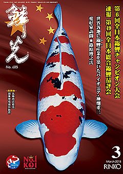 鱗光 2018年02月16日発売号 表紙
