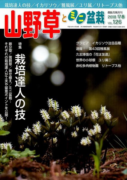 山野草とミニ盆栽 2018年3月号 (発売日2018年02月10日) 表紙