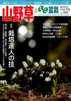 山野草とミニ盆栽 2018年3月号 (発売日2018年02月10日) | 雑誌/定期