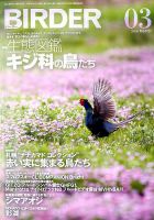BIRDER（バーダー） 2018年3月号 表紙