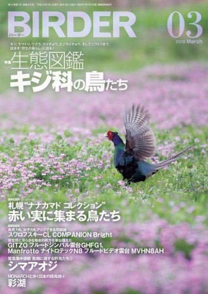 BIRDER（バーダー） 2018年3月号 (発売日2018年02月16日) 表紙