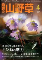 趣味の山野草 2018年4月号 (発売日2018年03月12日) 表紙