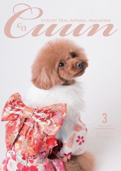 Cuun（クーン） 2018年3月号 (発売日2018年03月10日) 表紙