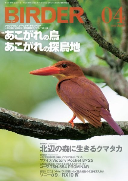 BIRDER（バーダー） 2018年4月号 (発売日2018年03月16日) 表紙