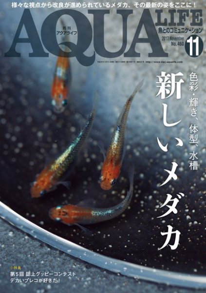 アクアライフ 11月号 (発売日2017年10月11日) 表紙