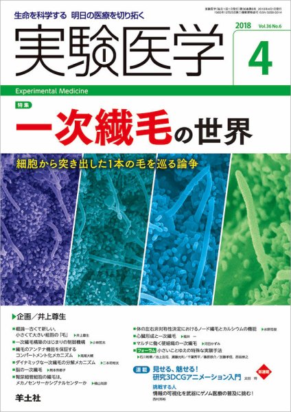 実験医学 Vol.36No.6 (発売日2018年03月20日) 表紙