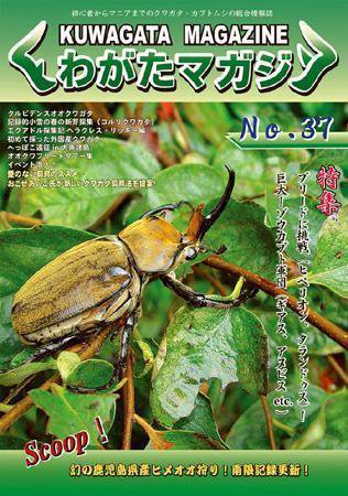 くわがたマガジン No.37 (発売日2007年09月30日) 表紙