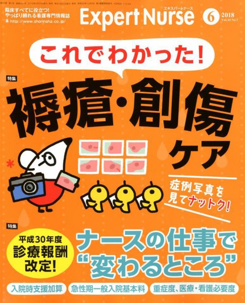 エキスパートナース 2018年6月号 (発売日2018年05月20日) 表紙