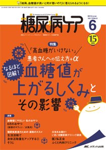 糖尿病ケア＋（プラス） 2018年6月号 (発売日2018年05月07日) 表紙