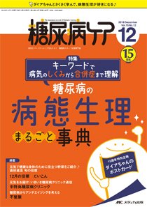 糖尿病ケア＋（プラス） 2018年12月号 (発売日2018年11月07日) 表紙