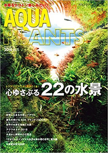 ゆゆゆぶり水草 AQUA PLANTS（アクアプランツ） No.15 (発売日2018年06月29日) | 雑誌