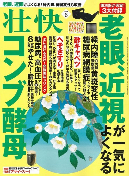 壮快 2018年6月号 (発売日2018年04月16日) 表紙