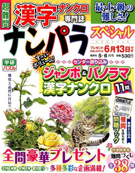ナンパラSpecial 2018年5月号 (発売日2018年04月16日) 表紙