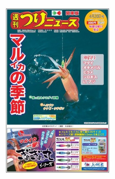 週刊つりニュース　関東版 2018年4月20日号 (発売日2018年04月16日) 表紙