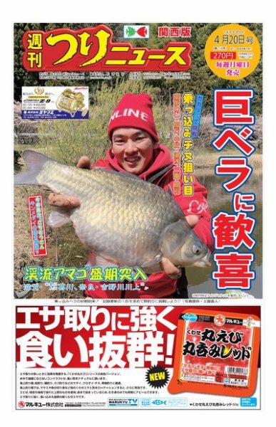 週刊つりニュース　関西版 2018年4月20日号 (発売日2018年04月16日) 表紙
