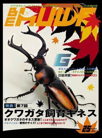 BE-KUWA（ビークワ） 25 (発売日2007年10月18日) 表紙