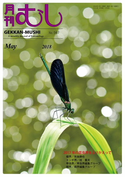 月刊むし 567 (発売日2018年04月23日) 表紙