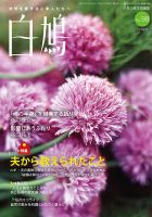 白鳩 No.98 表紙