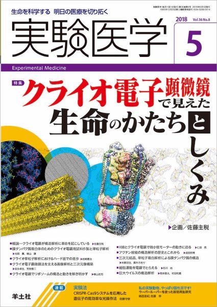 実験医学 Vol.36No.8 (発売日2018年04月20日) 表紙