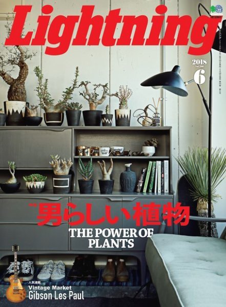 Lightning（ライトニング） 2018年6月号 (発売日2018年04月28日) 表紙