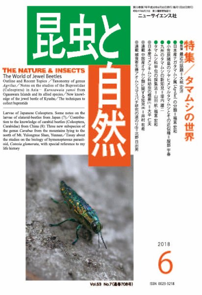 昆虫と自然 2018年6月号 (発売日2018年05月21日) 表紙