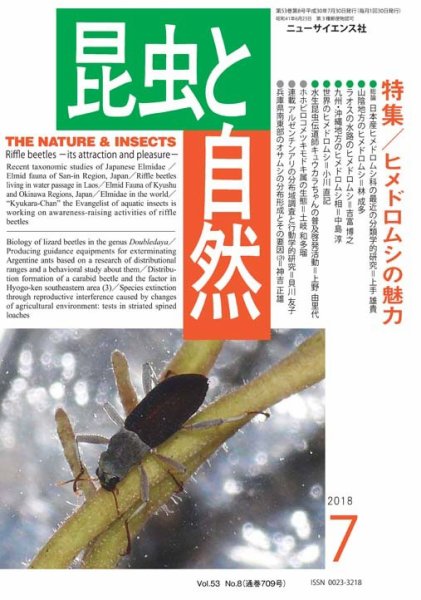 昆虫と自然 2018年7月号 (発売日2018年06月22日) 表紙