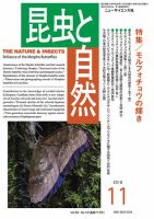 昆虫と自然 2018年11月号 表紙