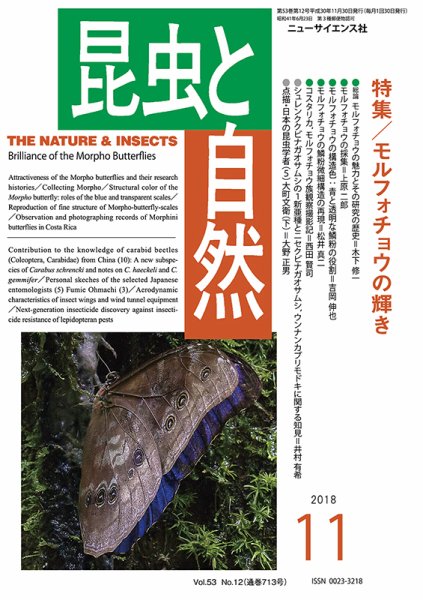 昆虫と自然 2018年11月号 (発売日2018年10月20日) 表紙