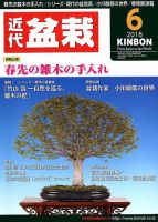 月刊 近代盆栽 2018年6月号 表紙