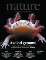 Nature（個人購読専用） 2018年2月1日 表紙