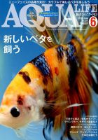アクアライフ 6月号 表紙