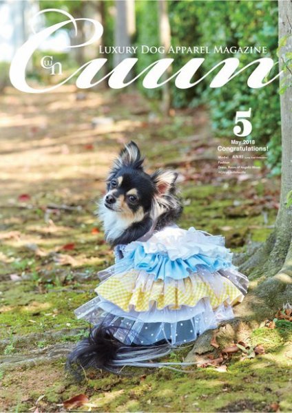 Cuun（クーン） 2018年5月号 (発売日2018年05月10日) 表紙