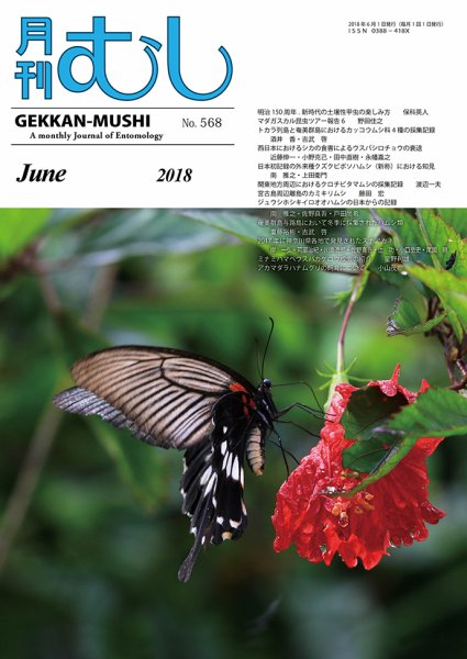 月刊むし 568 (発売日2018年05月24日) 表紙