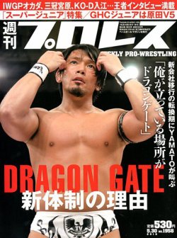 月刊プロレス 1982年 1983年 8冊　ハルクホーガン レスラー　カード 月刊プロレス 1982年 1983年 8冊 ハルクホーガン レスラー