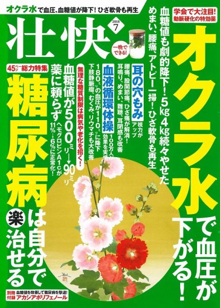 壮快 2018年7月号 (発売日2018年05月16日) 表紙