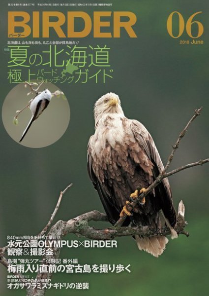BIRDER（バーダー） 2018年6月号 (発売日2018年05月16日) 表紙