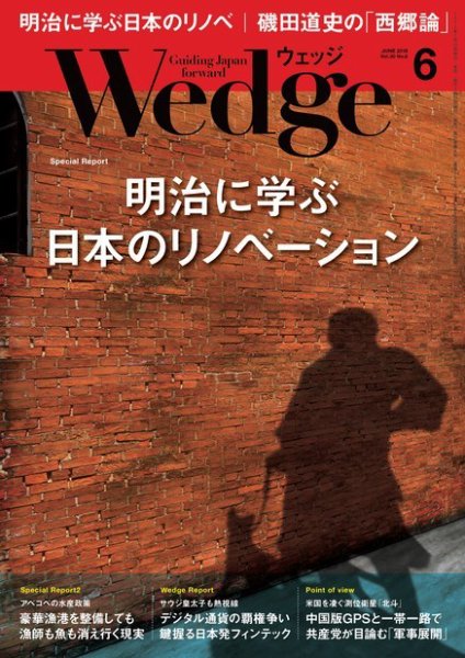 Wedge（ウェッジ） 2018年6月号 (発売日2018年05月19日) 表紙