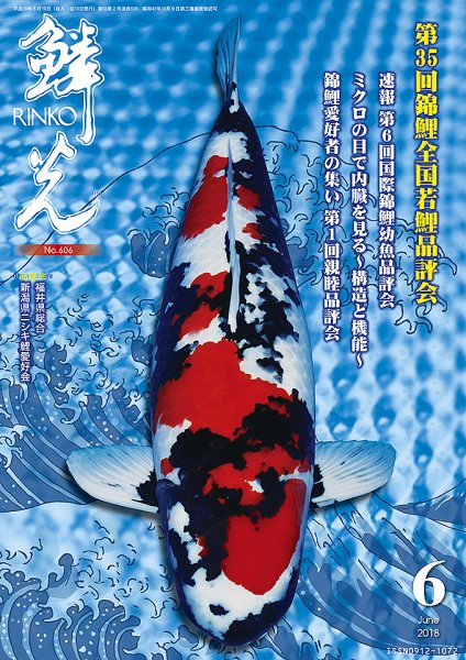 鱗光 2018年05月17日発売号 表紙