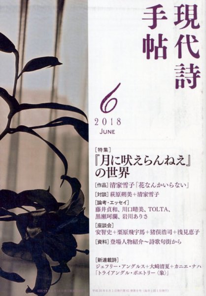 現代詩手帖 2018年6月号 (発売日2018年05月28日) 表紙