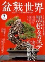 2008年6月　盆栽世界 ｜クサボケ特集｜名石・銘木の世界｜盆栽管理法 2008年6月 盆栽世界 ｜クサボケ特集｜名石・銘木の世界｜盆栽管理法
